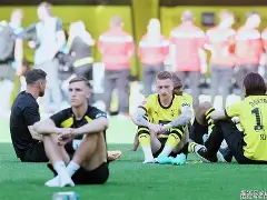 关于德甲冠军遭遇大挫，客场失利惨遭逆转的信息